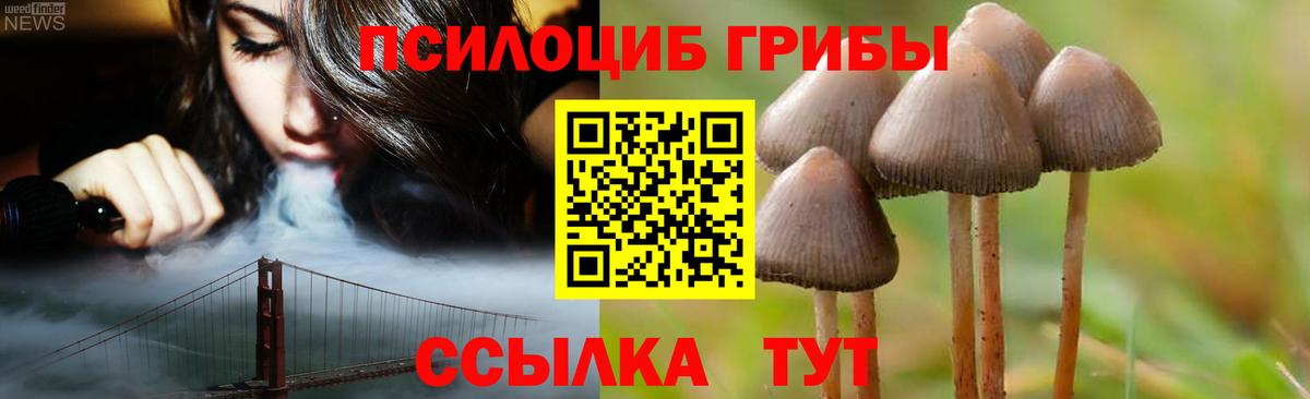 Псилоцибиновые грибы Psilocybe  Вход с VPN  Протвино  Псилоцибиновые грибы прущие грибы 